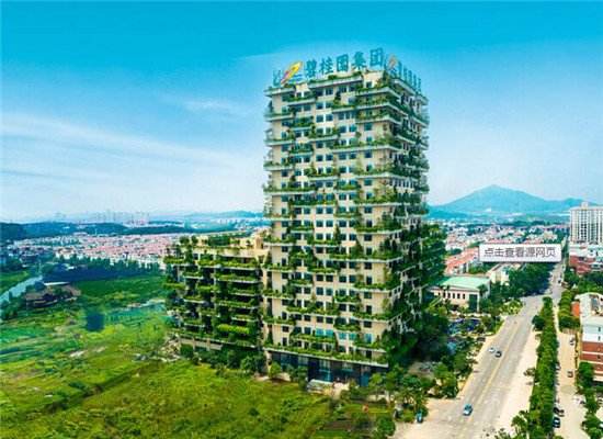 碧桂園集團(tuán)